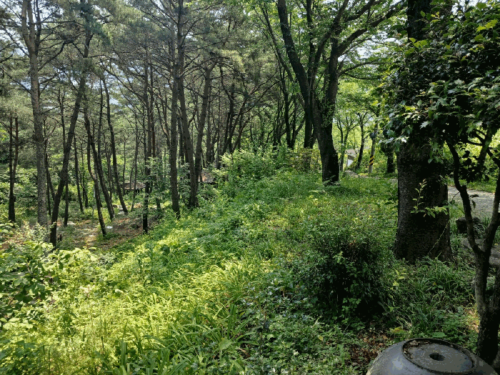 대상물건 12) 토지 전경
