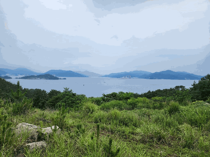 본건 조망