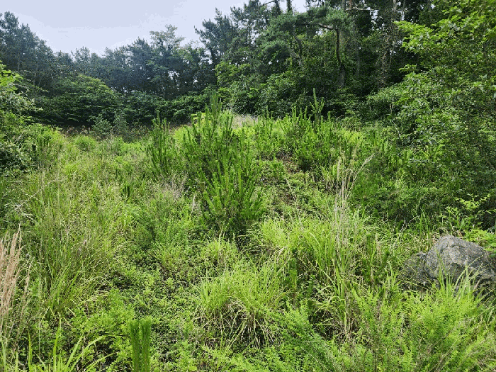 본건 3)~5)토지