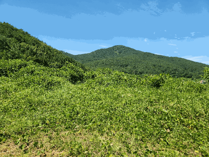 일련번호 2, 4)