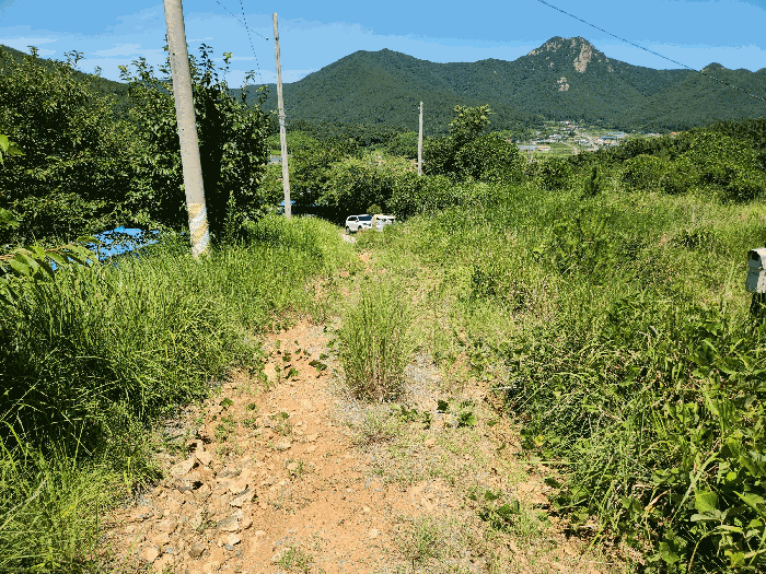 일련번호 5) 중 도로 부분