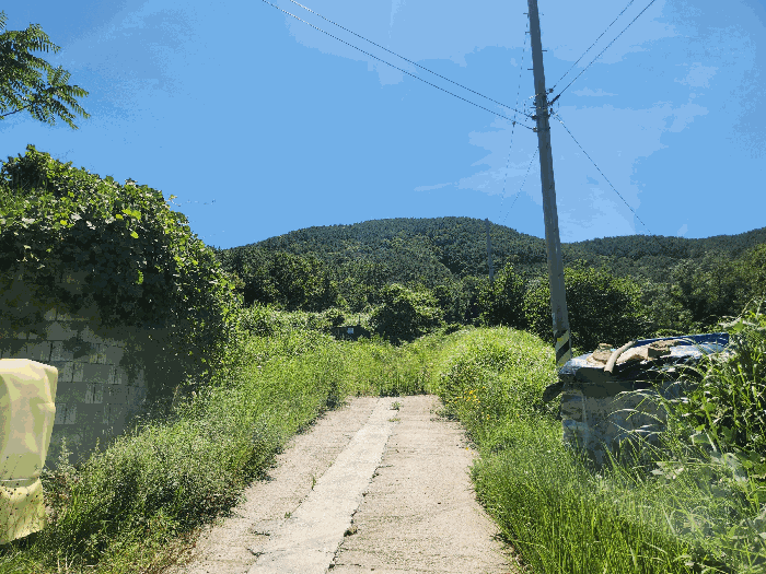 본건 전경