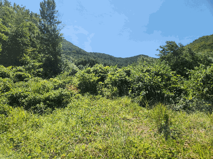 일련번호 6)