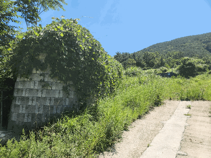 일련번호 1)