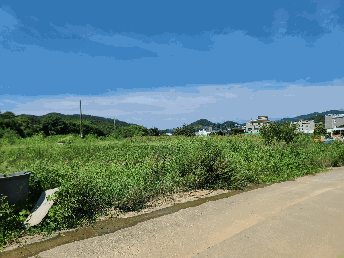 본건전경