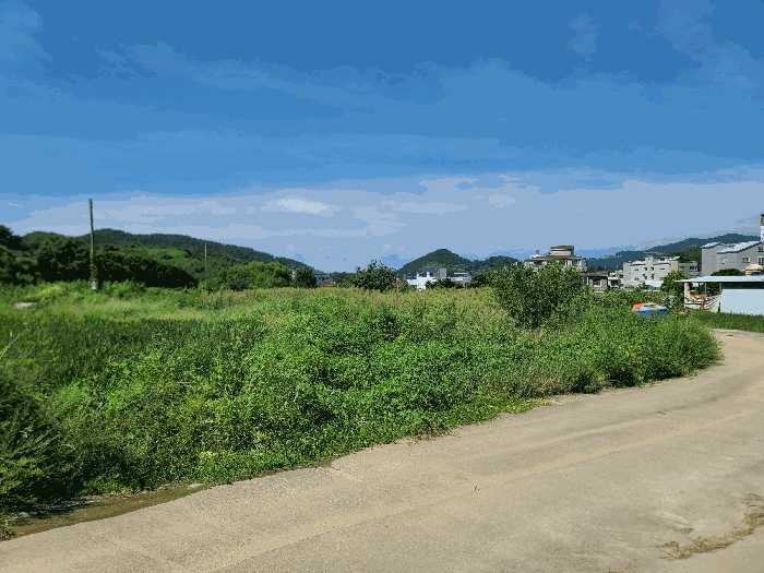 본건전경