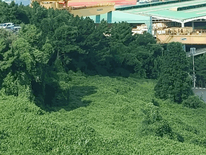 기호 1 토지전경