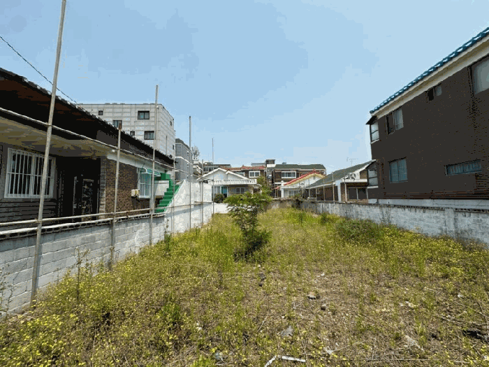 본 건 전 경(