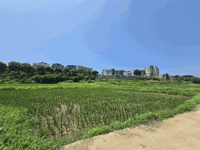 본 건