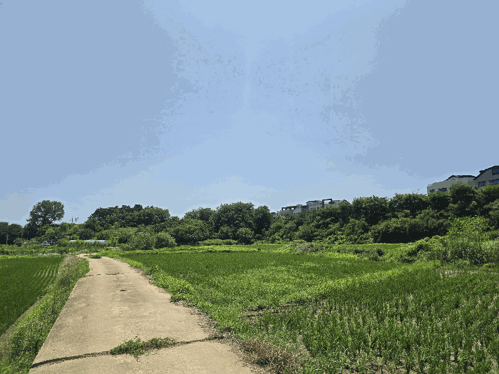 본 건