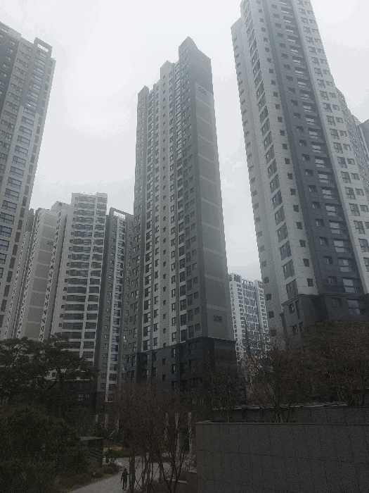 본건 아파트 단지 전경
