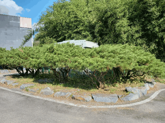 조경수, 조경석 등 (포함평가)