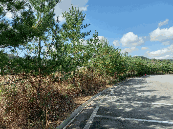 조경수 등 (포함평가)