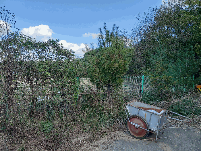 조경수, 철제펜스 등 (포함평가)