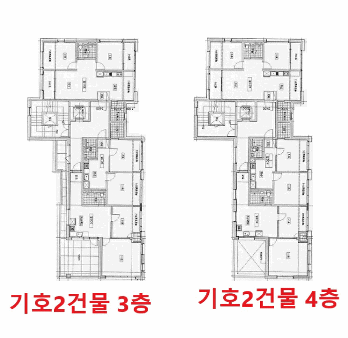건 물 개 황 도