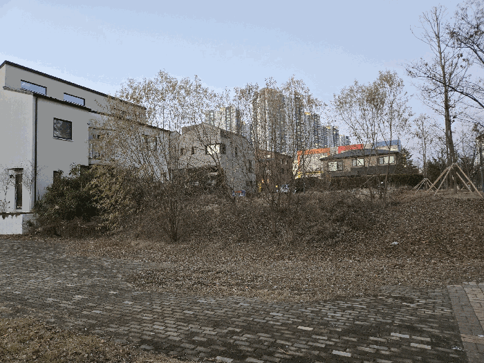 남측 근경(近景)