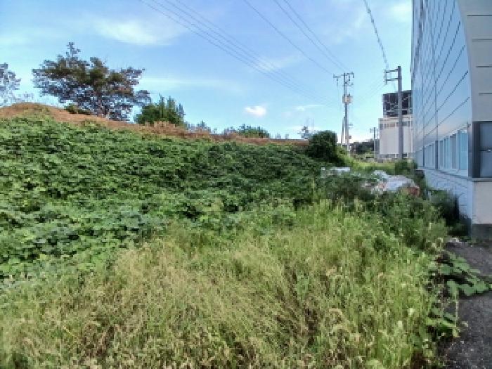 목록5(창고용지