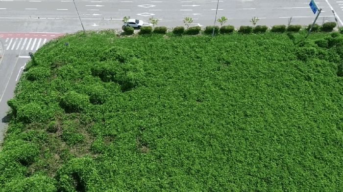 본  건(북측에서 촬영)