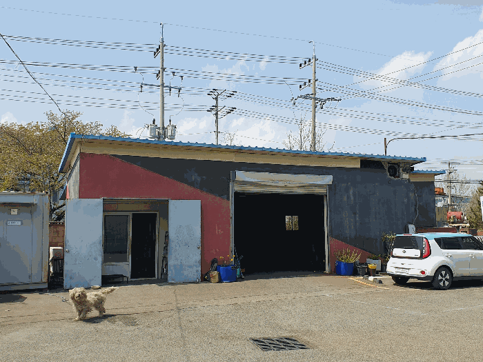 [토지 : 일련번호 6(남동측 촬영)]