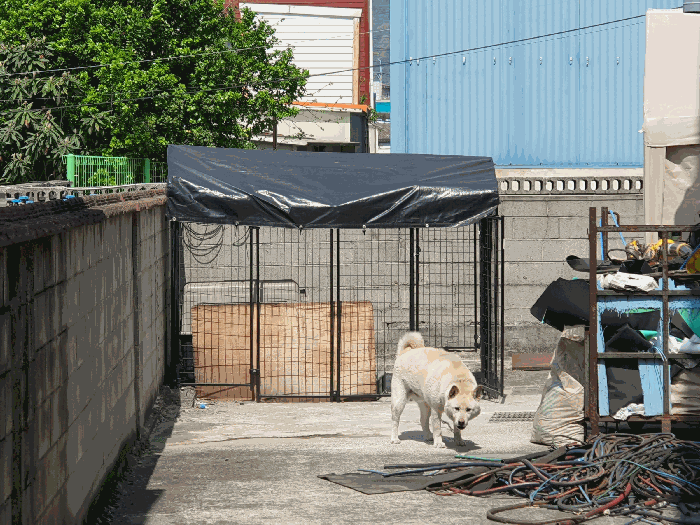 [제시외 건물 : 일련번호 (ㅋ)]