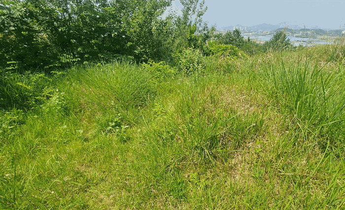 제시외 분묘 추정 물건