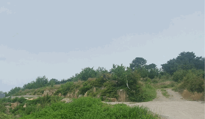 본건 토지 전경