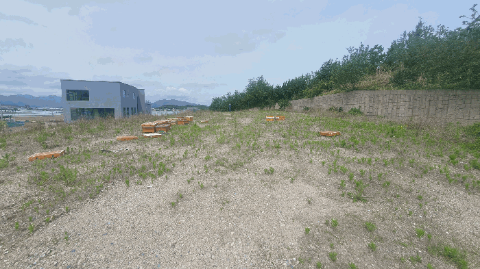 본건 토지 전경