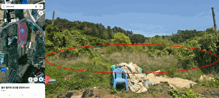 본건 전경 (남측에서 촬영)