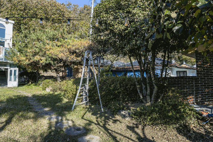 본건 토지상 수