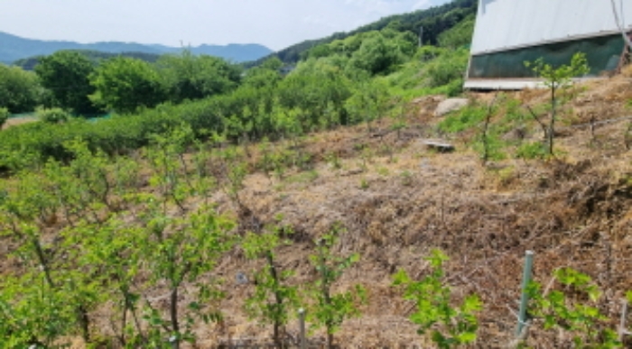 목록 12. 토지