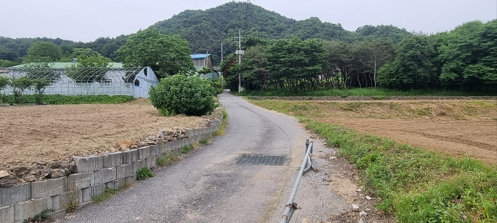 일련번호(9) 전경(도로)