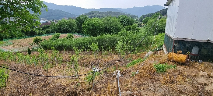 일련번호(12) 전경