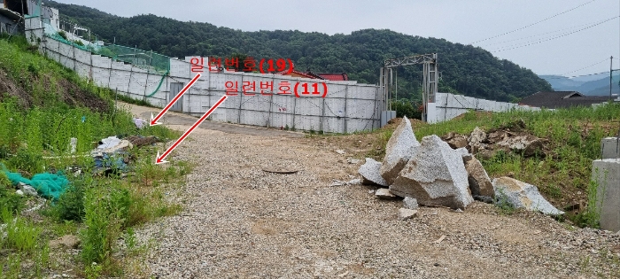 일련번호(11),(19) 전경