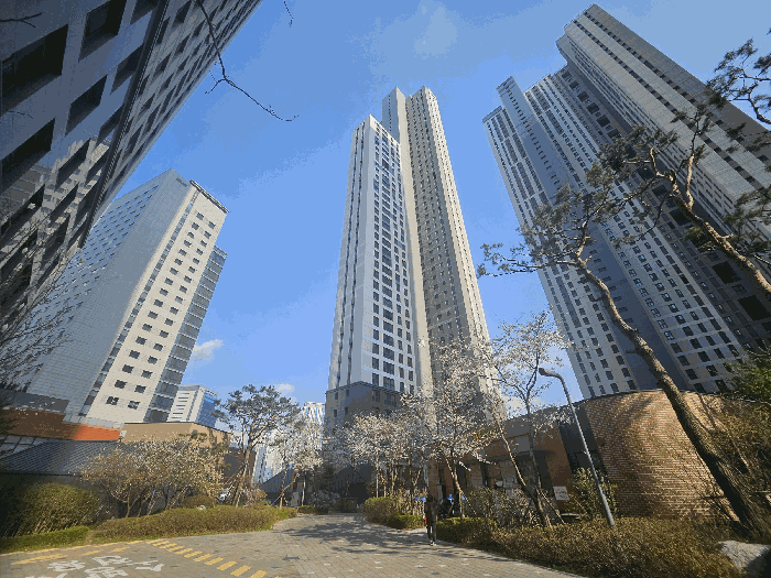 본건이 속한 건