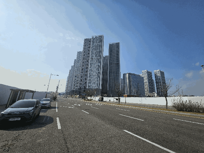 본건이 속한 단