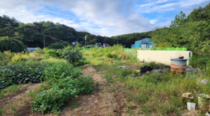 부동산의 표시 1, 5.