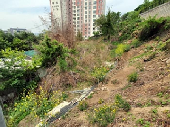 본 건 및 주변전경