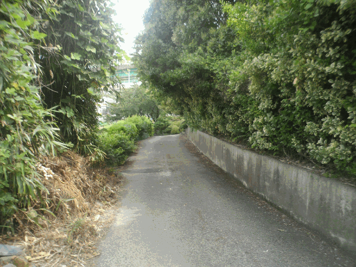 연번3