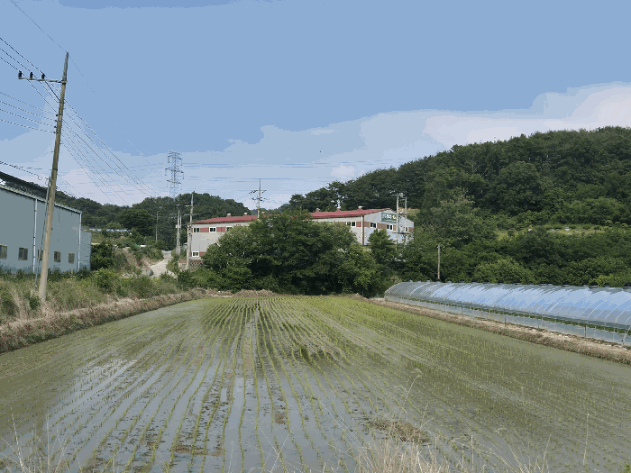 주위환경(서측에서 촬영)