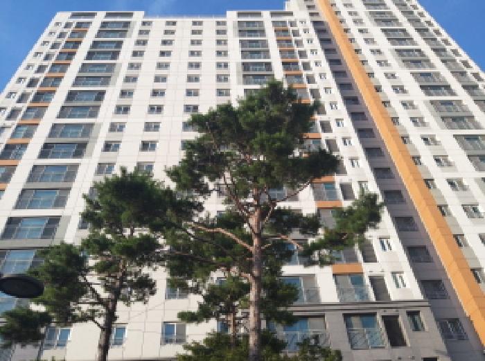 * 본건 목적물 소재 동 전경