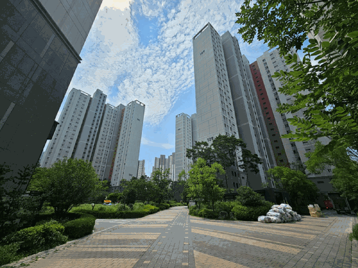 본 건 단 지 전 경