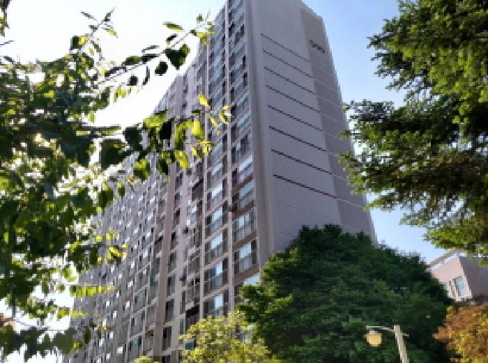 * 본건 목적물 소재 동 전경