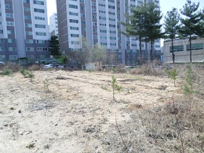 근접촬영