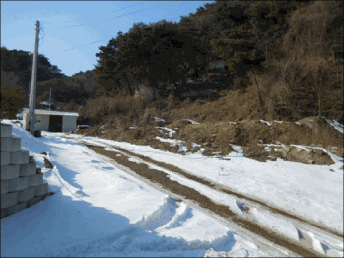 본건 기호(8)