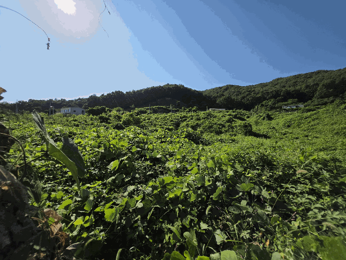 일련번호 3 전경