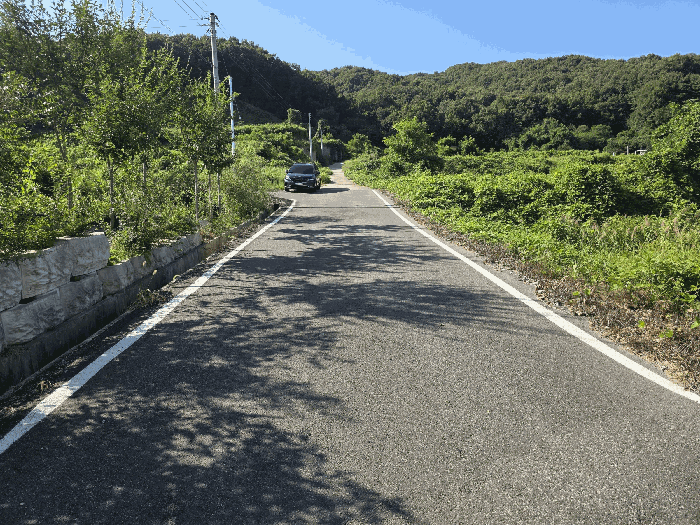 일련번호 5 전경