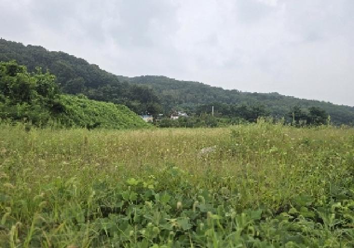목적물 1번,2번