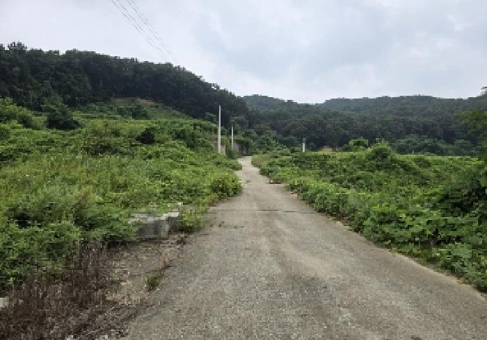 목적물 5번