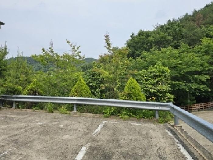 물건번호1 수목