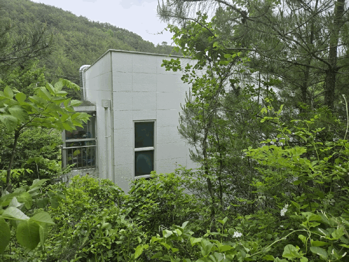 기호(2) 건물 후면사진